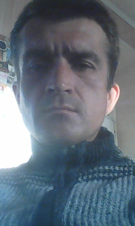  7996389  , 46 ,    