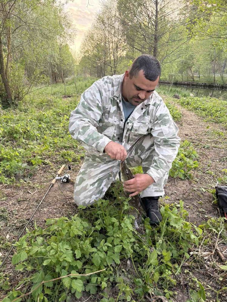 ���������� ������, ���� ������� �������, 38 ���, ������������ ��� ������, ����� � ���������, c�������� ���������