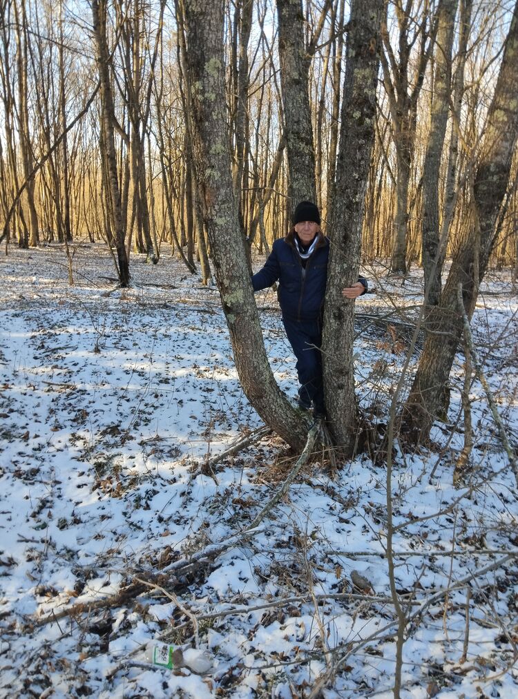 ���� 55006909 ������� �������, 73 ����, ���� ���������� � ���������