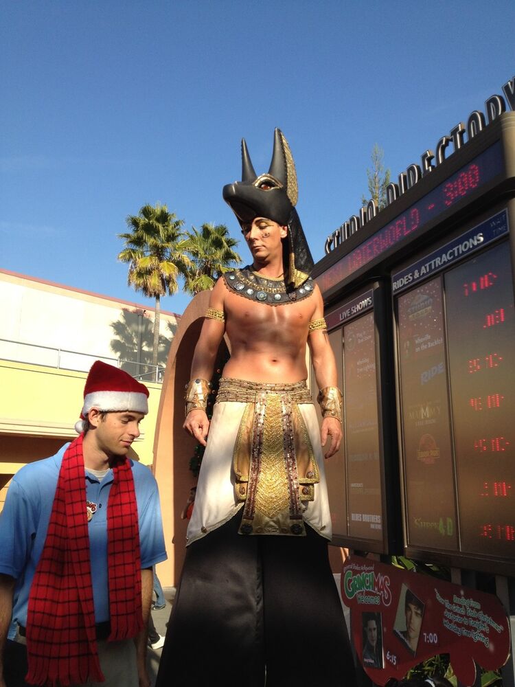 ���� 10304269 ������� ����, 42 ����, ���� ���������� � ������