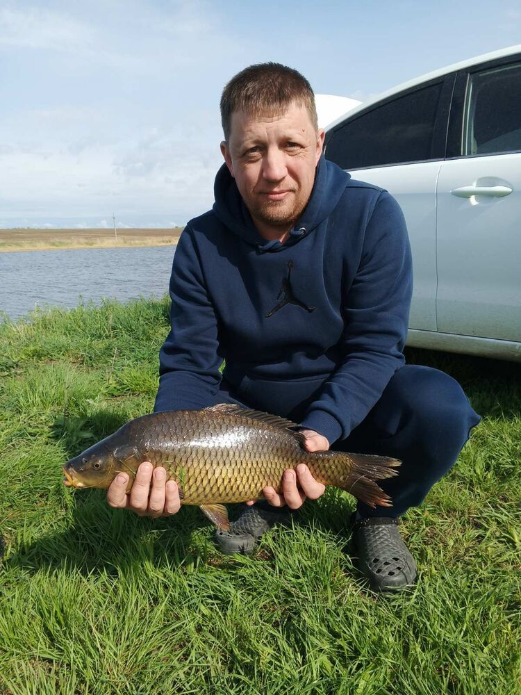 ���������� ������, ���� ������� �������, 44 ����, ������������ ��� ������, ����� � ���������, c�������� ���������