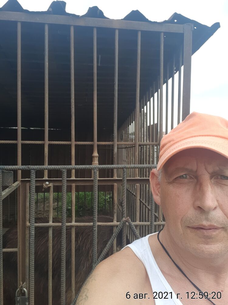  ,   , 62 ,   ,   