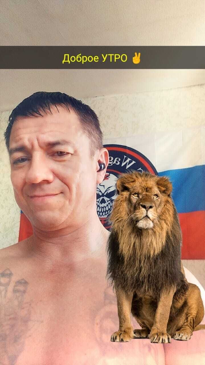  45377169  , 49 ,     