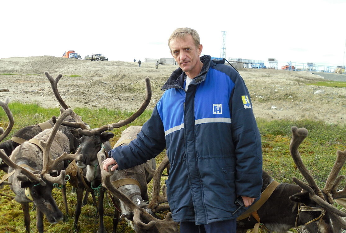 ���������� ����������, ���� ������� ��������, 52 ����, ������������ ��� ����� � ���������, c�������� ���������, ���������