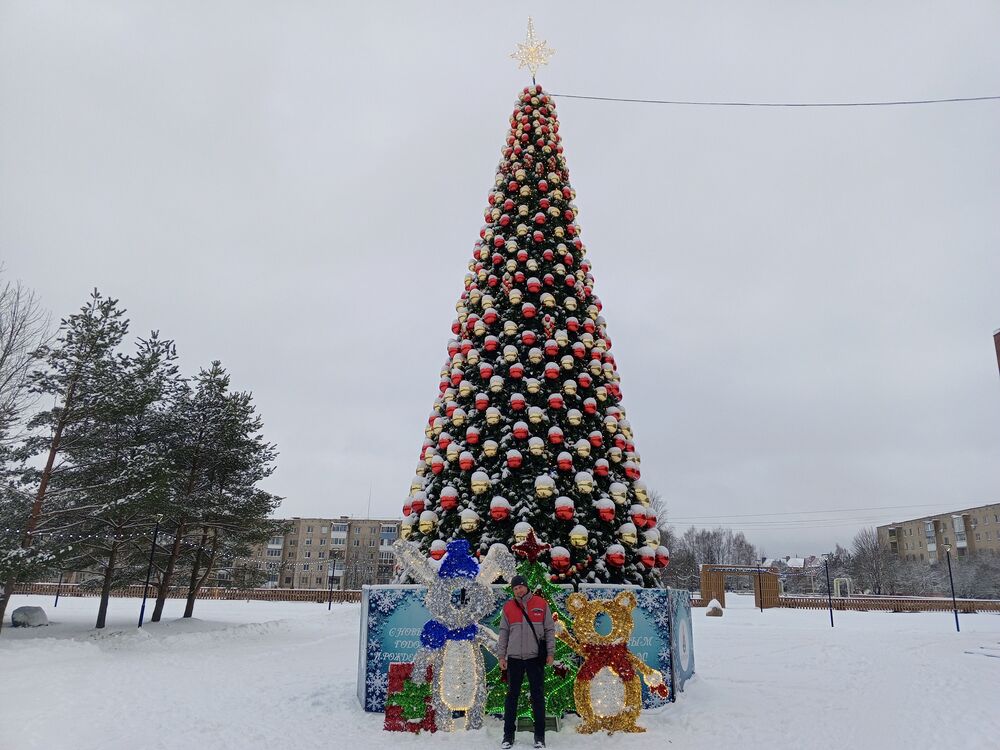 ���� 55206159 ������� ������, 37 ���, ���� ���������� � �����������������