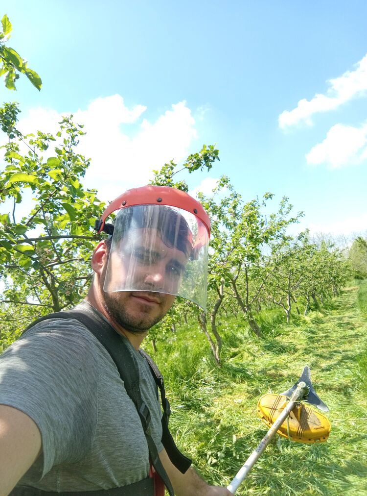  ,   , 31 ,     , c , 