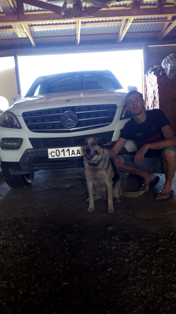 ���� 22352599 ������� ����, 30 ���, ���� ���������� � ���