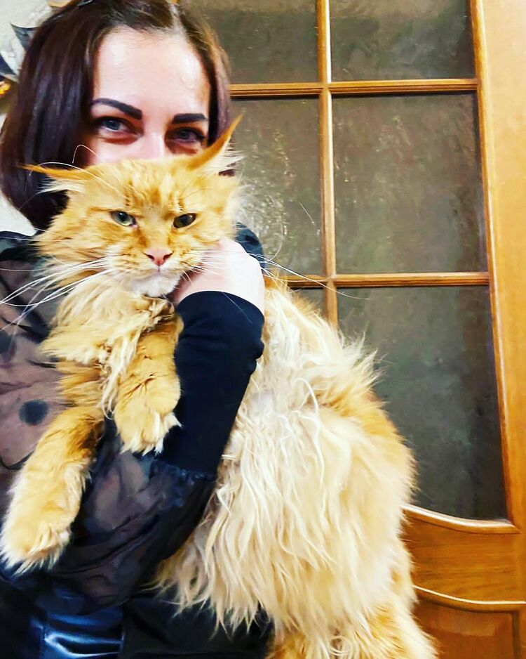 ���������� ������-��-����, ���� ������� ��������, 42 ����, ������������ ��� ������, ����� � ���������