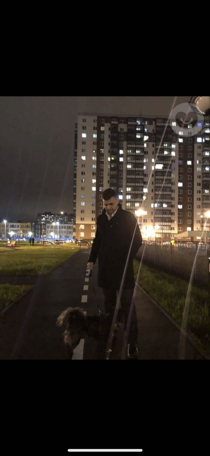 ���� 28441889 ������� ���������, 36 ���, ���� ���������� � �����-����������