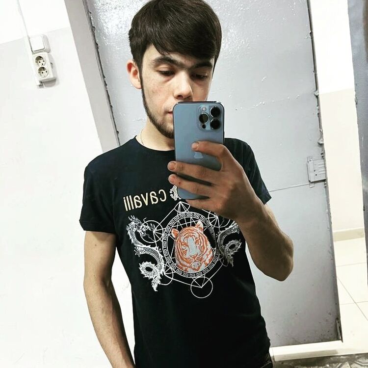 ���� 31376379 ����� ������, 24 ����, ���� ���������� � ������