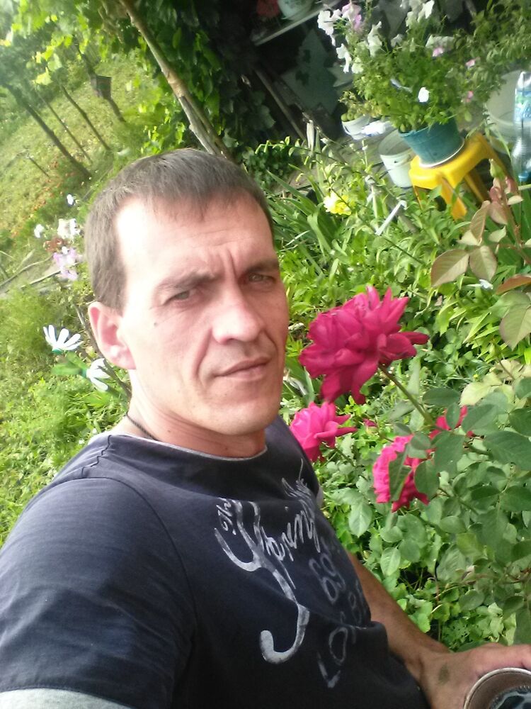  44587959  , 51 ,    