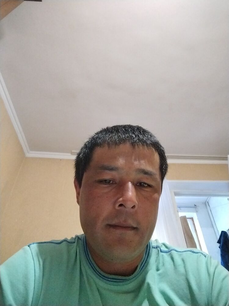  36588199  , 40 ,    