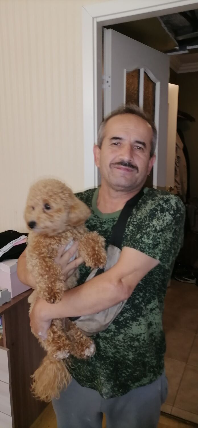 ���������� �����-���������, ���� ������� FIRASH, 57 ���, ������������ ��� ������, ����� � ���������, c�������� ���������, ���������