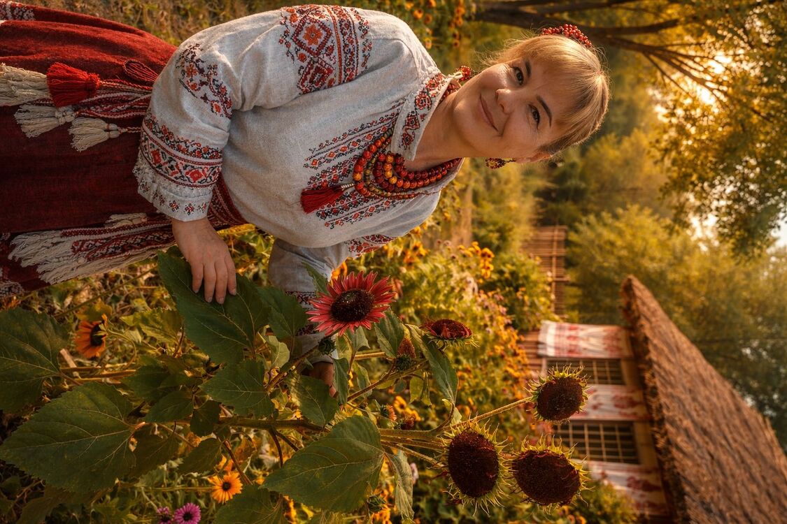 ���� 55650159 ������� �����, 51 ���, ���� ���������� � ���������