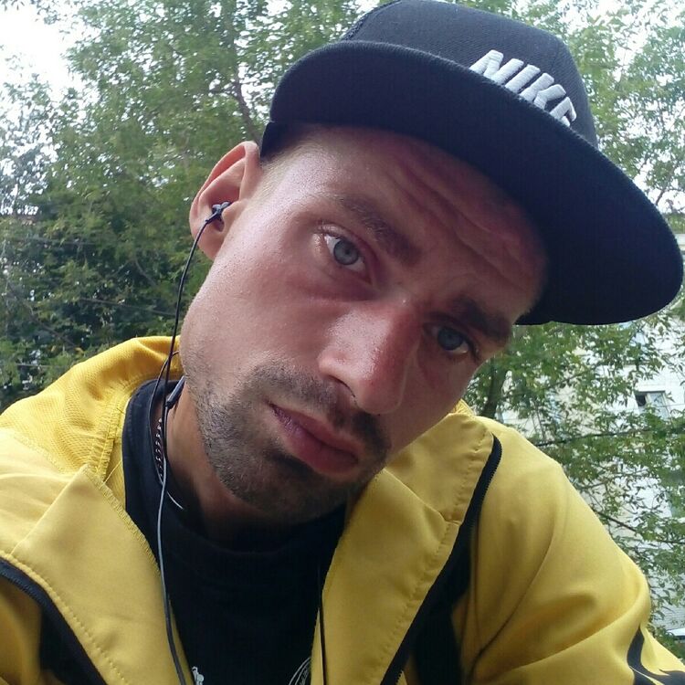  54311689  , 31 ,    -