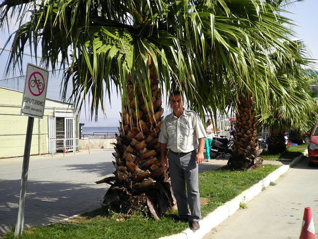  ,   Eldar, 59 ,   