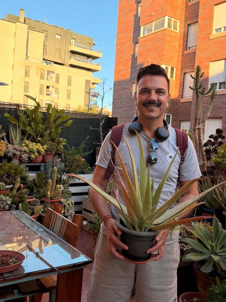 ���� 54431169 ������� �������, 30 ���, ���� ���������� � ��������