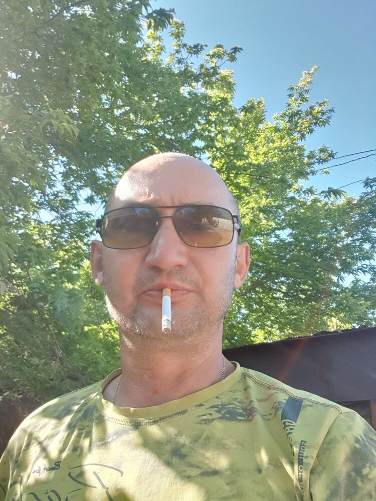  23165809  , 50 ,    