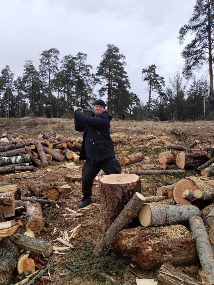 ���������� �����-���������, ���� ������� ����, 50 ���, ������������ ��� ������, ����� � ���������