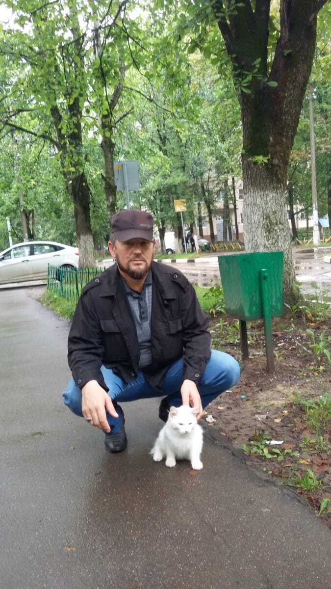  ,   , 55 ,  