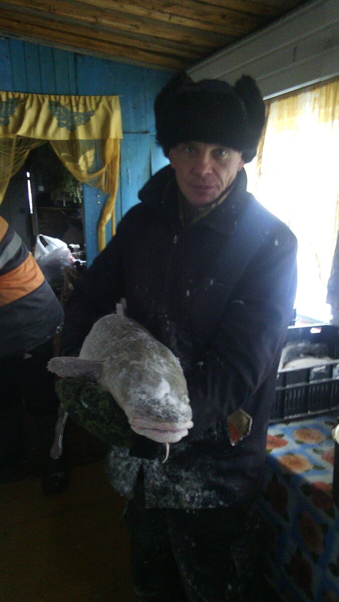  ,   , 52 ,   