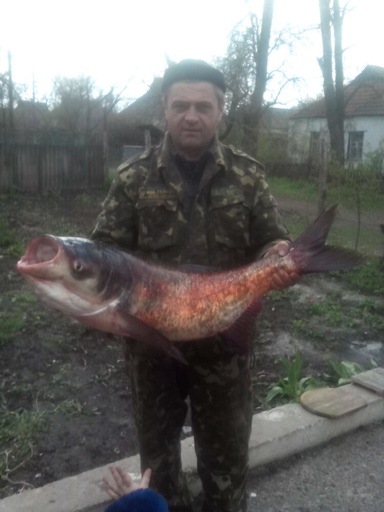 ���������� �������, ���� ������� ������, 52 ����, ������������ ��� ������, ����� � ���������