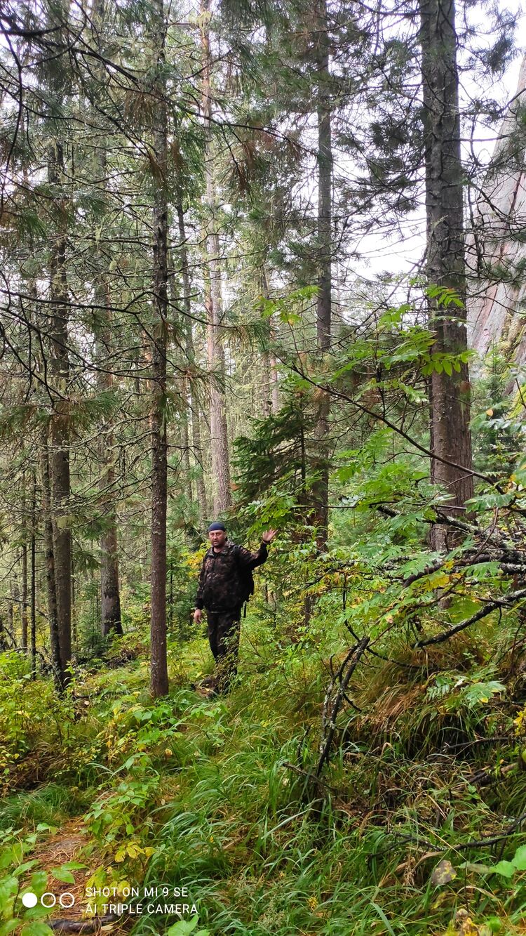 ���������� ����������, ���� ������� �������, 53 ����, ������������ ��� ������, ����� � ���������, c�������� ���������