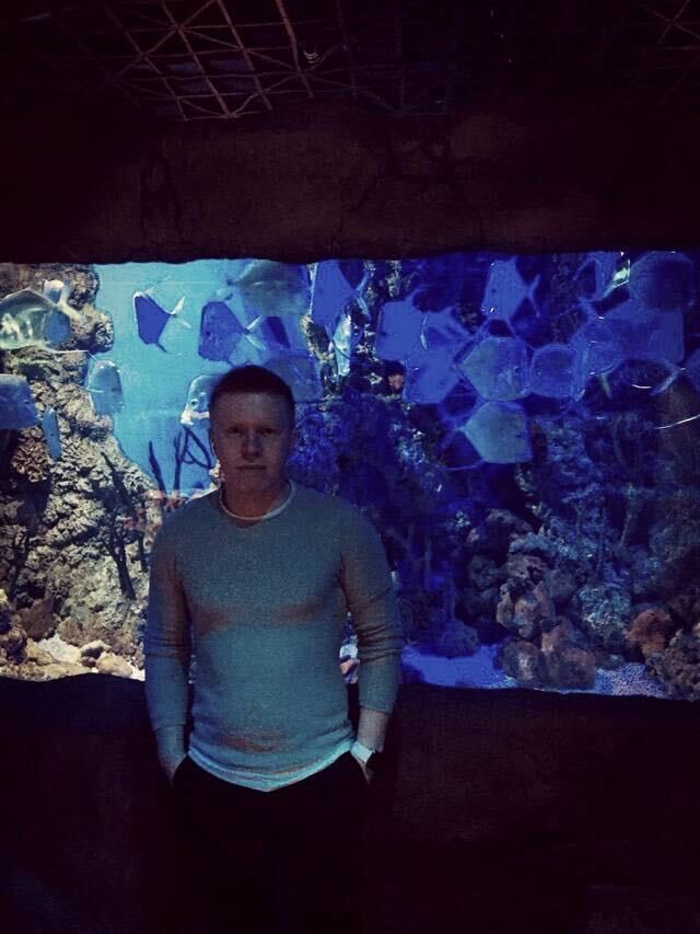  50933919  , 31 ,    