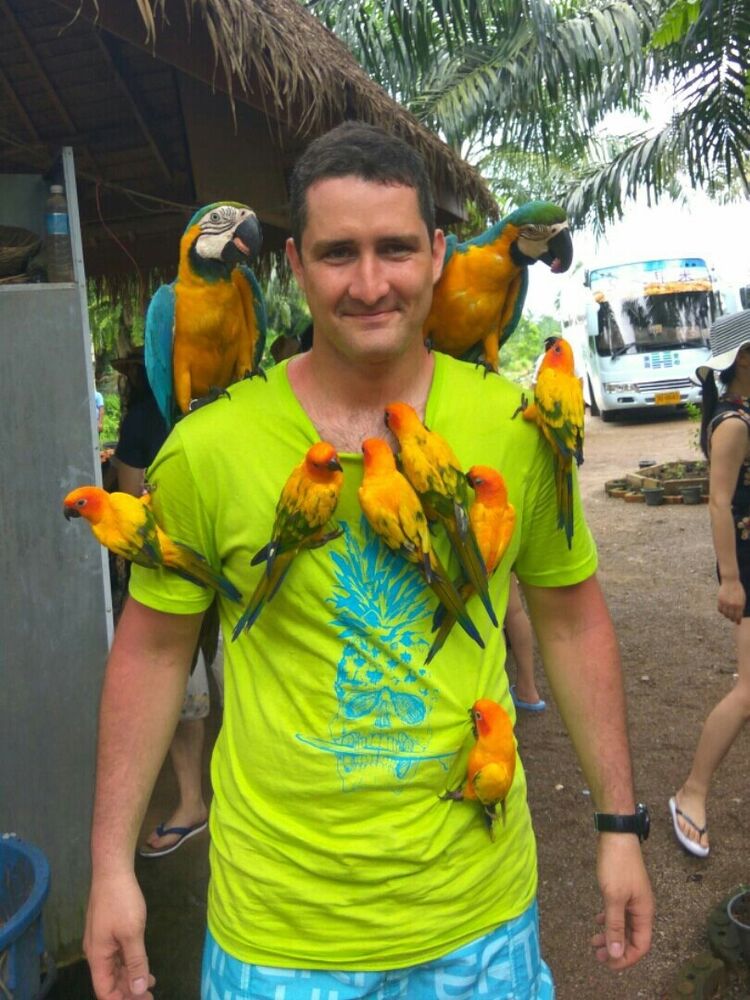  52470309  , 35 ,    -