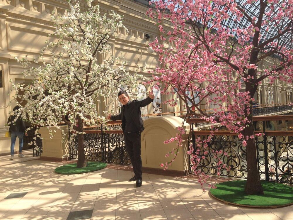 ���������� ������������, ���� ������� ����, 31 ���, ������������ ��� ������, ����� � ���������, c�������� ���������