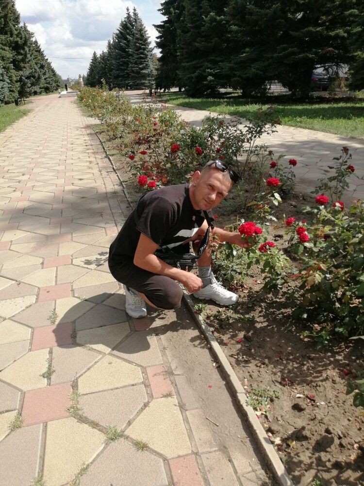  46335269  , 41 ,    