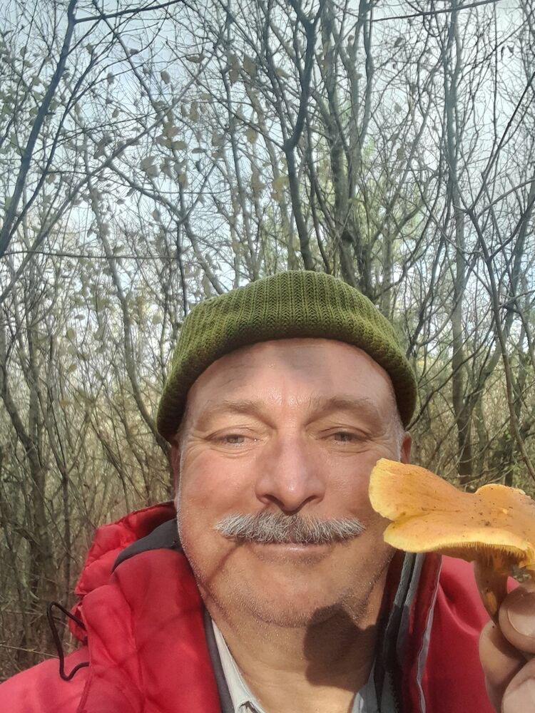  39917759  , 54 ,    
