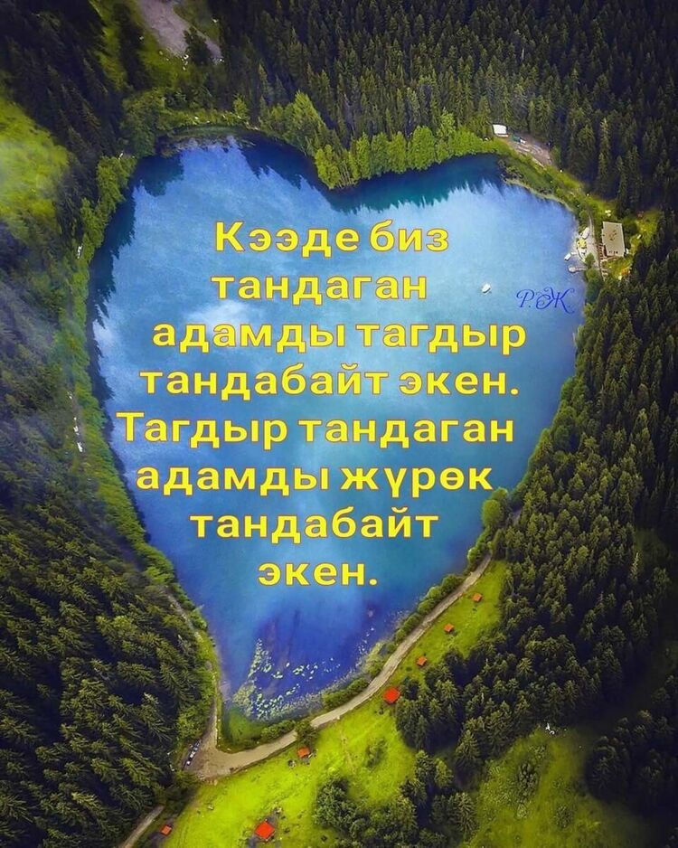 ���������� ������, ���� ������� �����, 39 ���, ������������ 