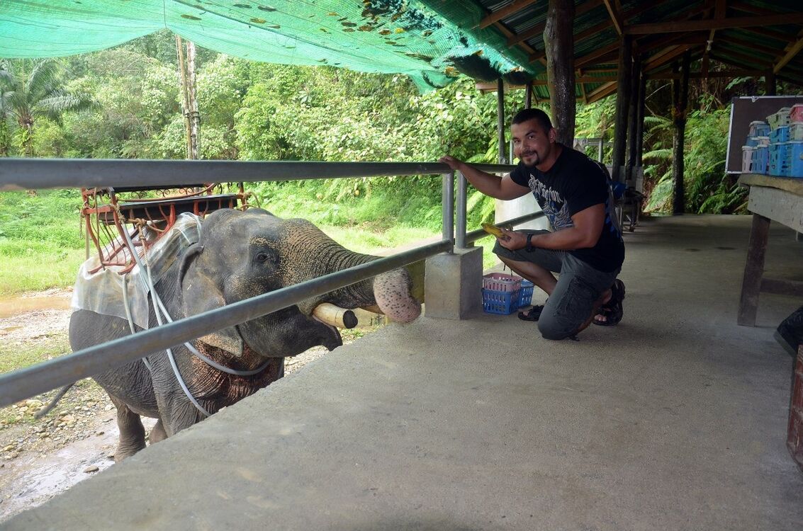 ���������� ���������, ���� ������� ������, 41 ���, ������������ ��� ������, ����� � ���������