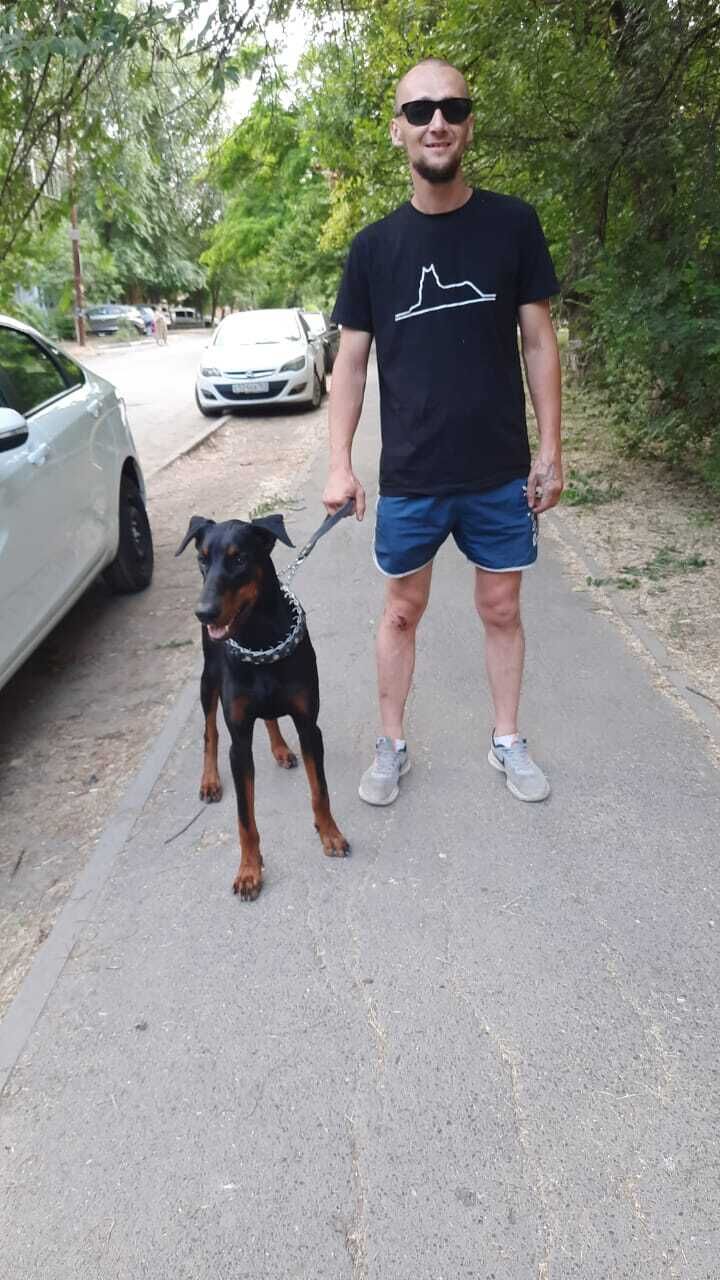  36993259  , 38 ,    --