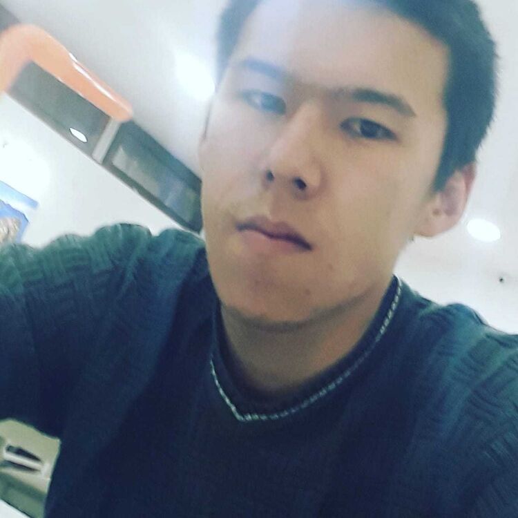  12727149  , 28 ,    