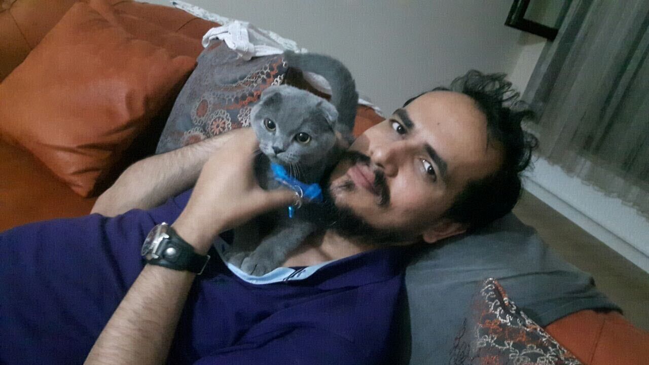 ���������� ������, ���� ������� Art, 38 ���, ������������ ��� ������, ����� � ���������