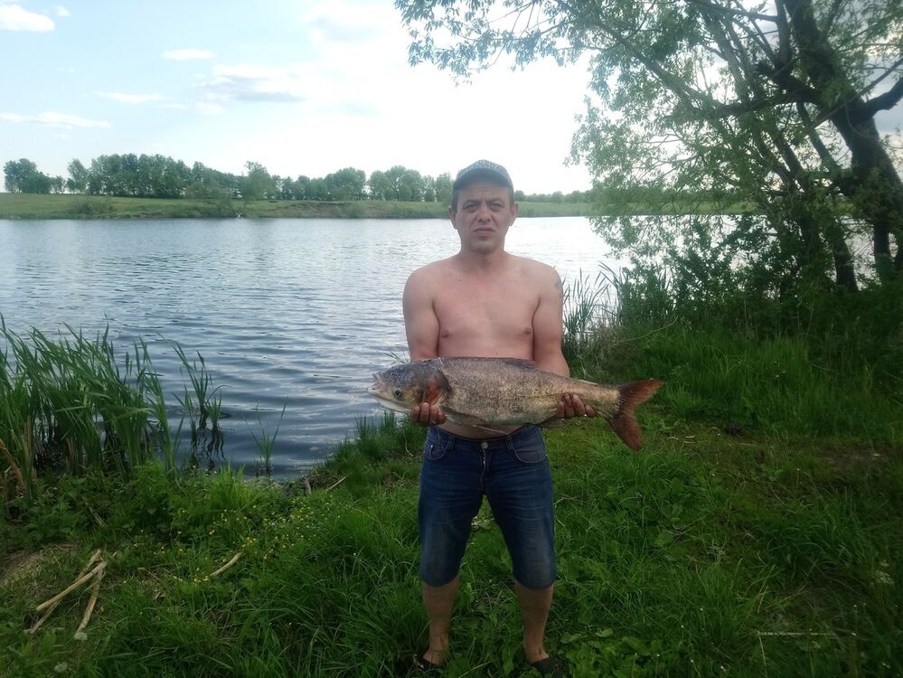 ���������� �����, ���� ������� ����, 44 ����, ������������ ��� ������, ����� � ���������, c�������� ���������