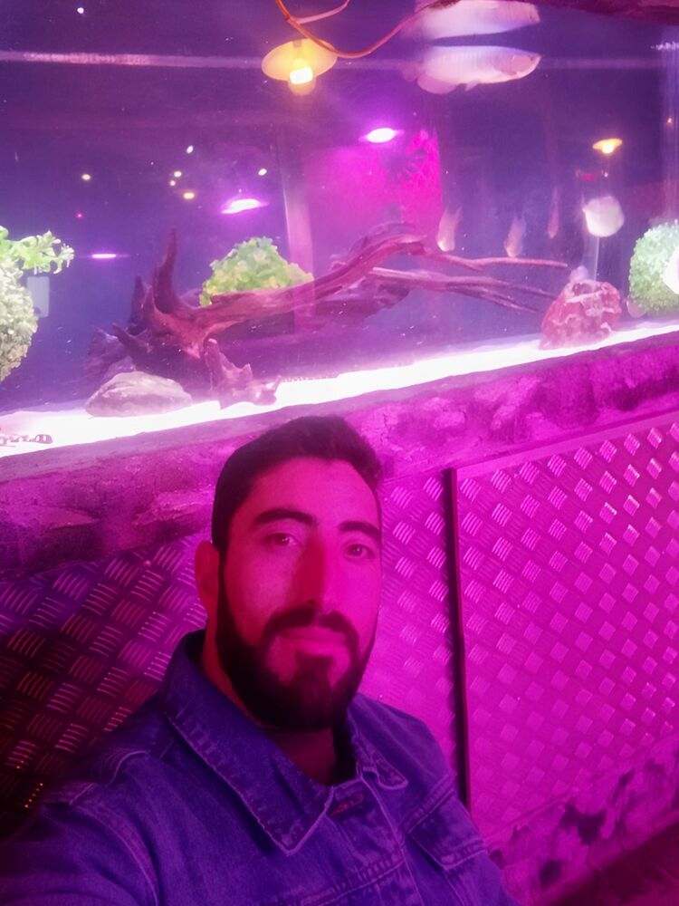 ���������� �������, ���� ������� ����, 31 ���, ������������ ��� ������, ����� � ���������