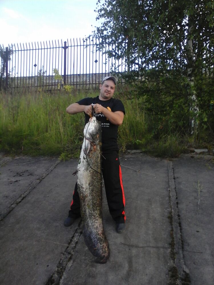 ���� 28738019 ������� ����, 37 ���, ���� ���������� � �����