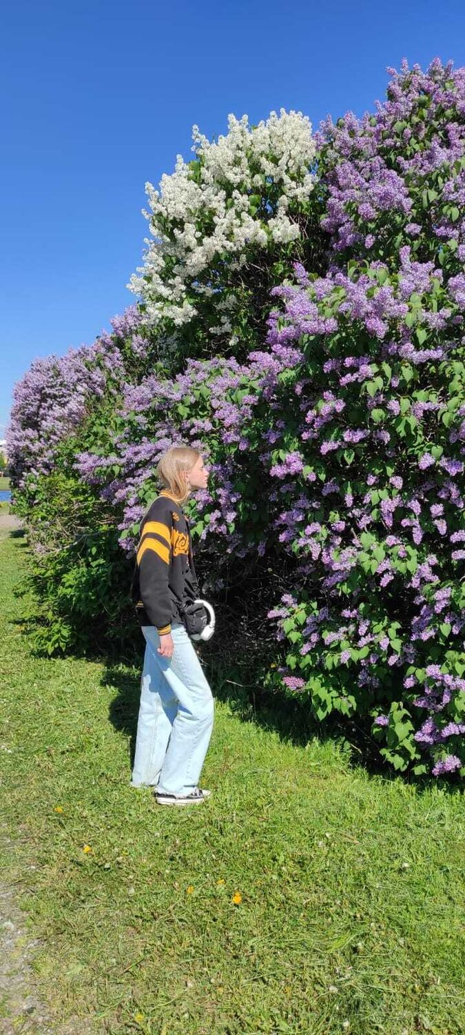 ���������� �����-���������, ���� ������� ��������, 22 ����, ������������ ��� ���������