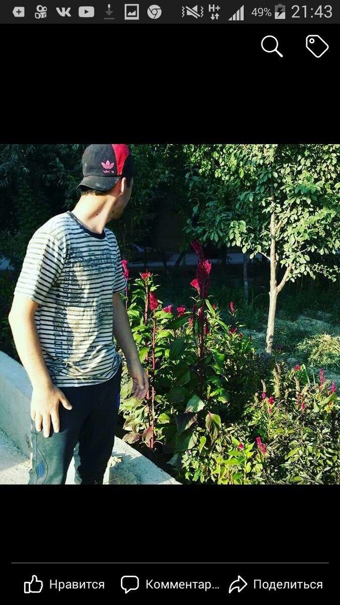 ���� 18333519 ������� ���������, 30 ���, ���� ���������� � ���