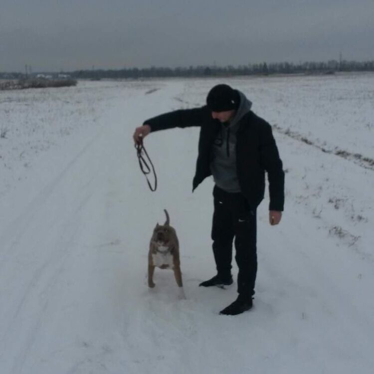  ,   Nikolay, 30 ,   ,   , c , 