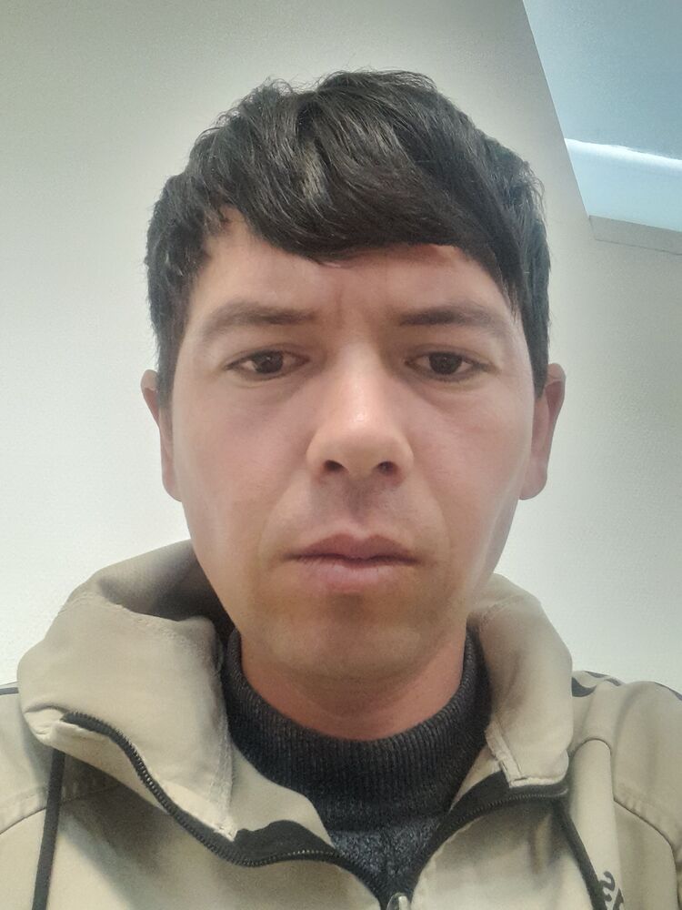  27192499  , 33 ,    