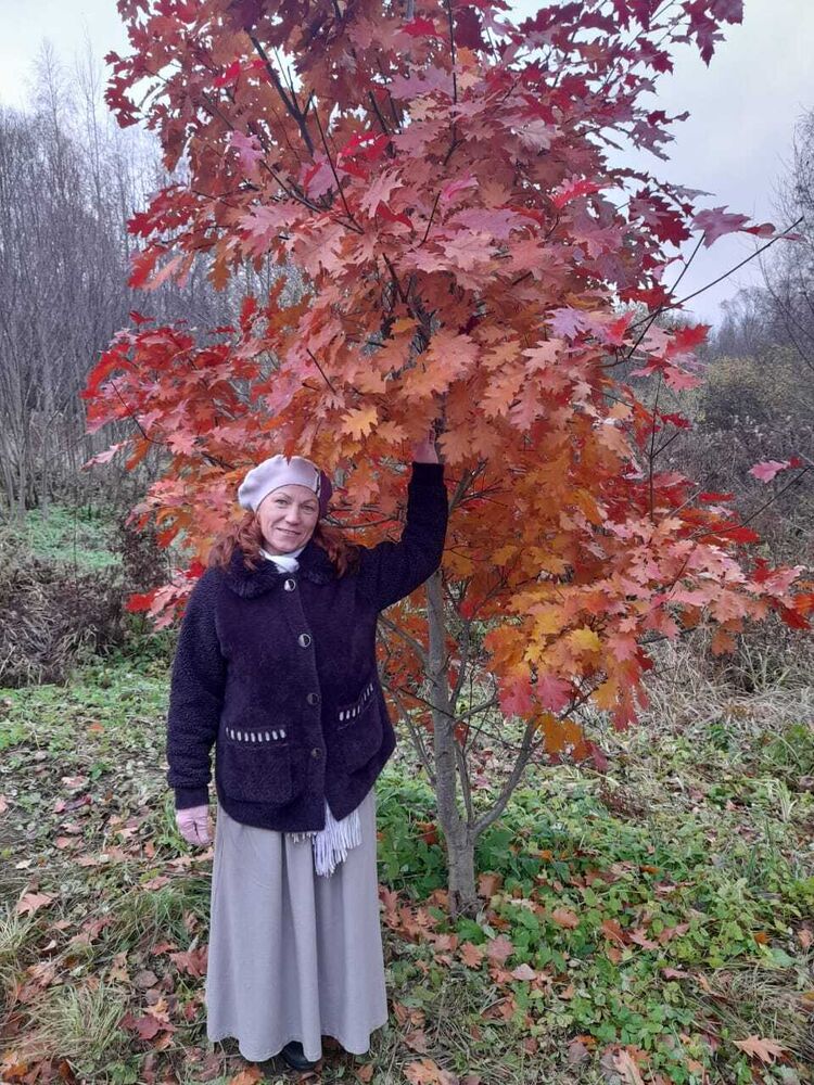  54259709  , 45 ,    -