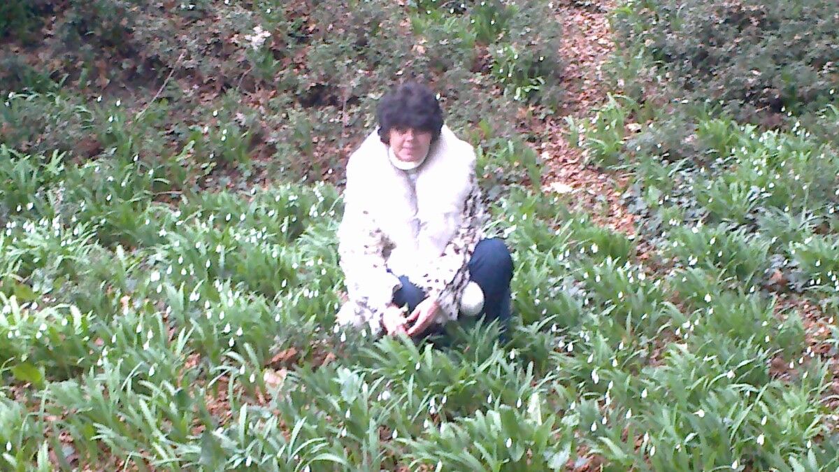 ���������� ����, ���� ������� ������, 59 ���, ������������ ��� ������, ����� � ���������, c�������� ���������