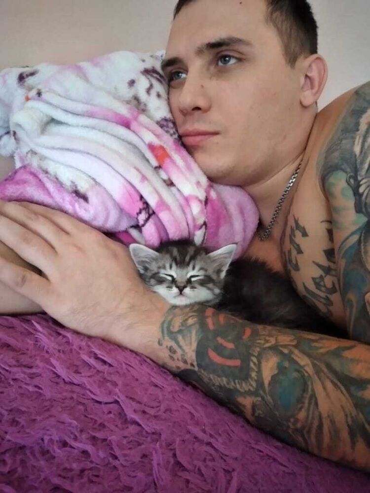  ,   Romash, 33 ,   ,   
