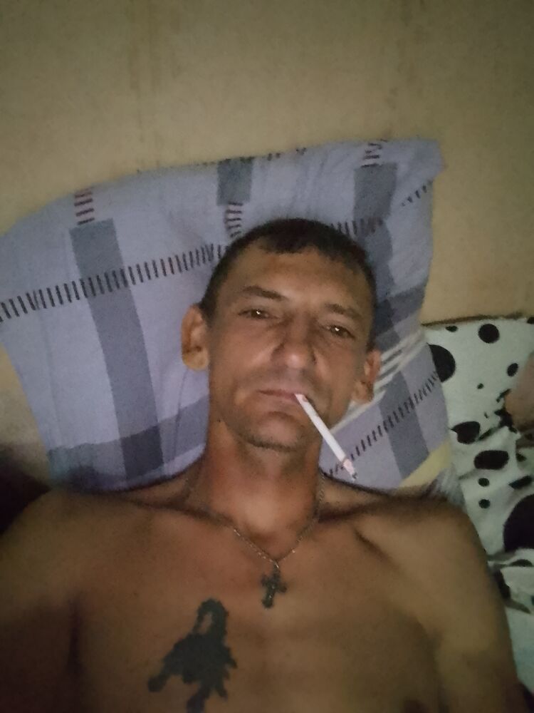 44245869  , 44 ,    