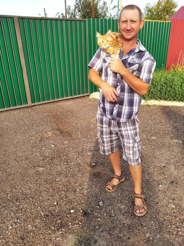 ���� 29312209 ������� �������, 42 ����, ���� ���������� � ���������