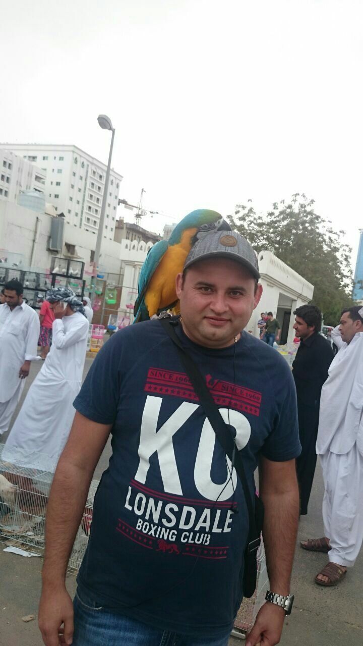  31014689  , 41 ,    